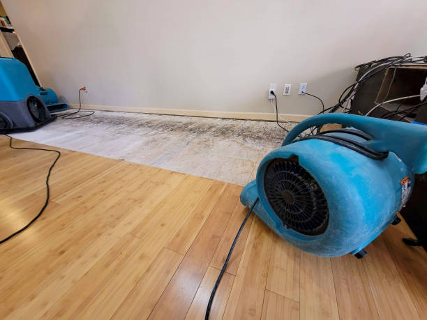 Professional Water Removal technician working in Moss Beach, CA